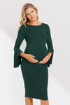Asha Bell Sleeve Dress