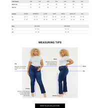 Butter Denim Plus w/ Panel - Yo Mama Maternity