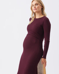 Eden Knit Nursing Friendly Dress